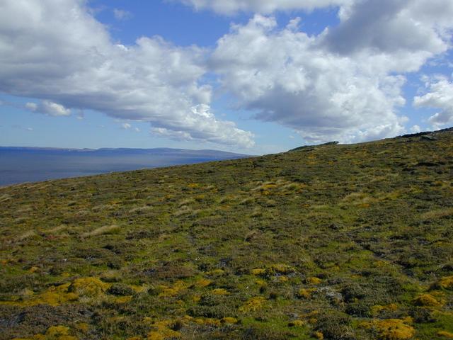 Westward across the opening into Fox Bay, the shore of West Falkland stretches into the distance.