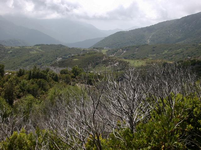 Confluence from North