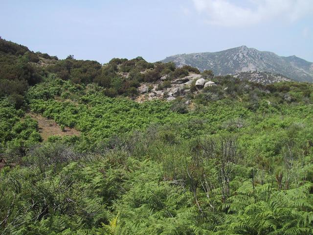 View west arriving to the confluence