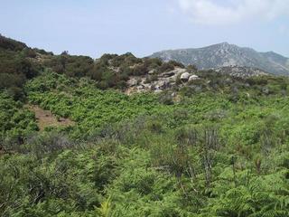 #1: View west arriving to the confluence