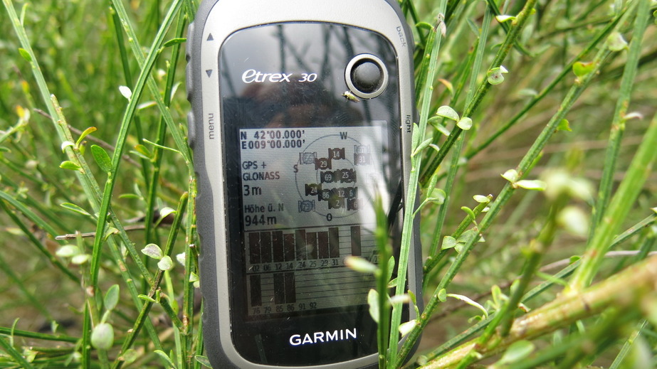 GPS reading