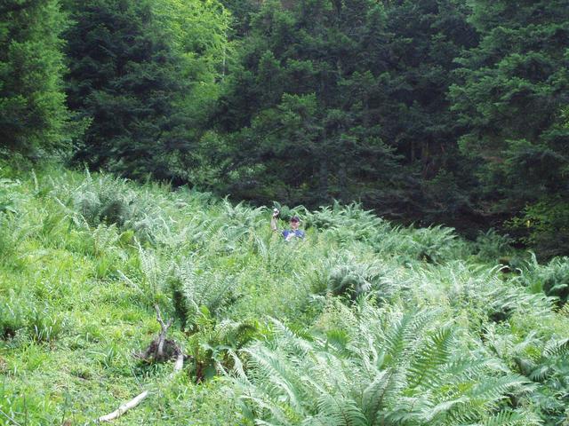 Alan Hart making an attempt on the hill