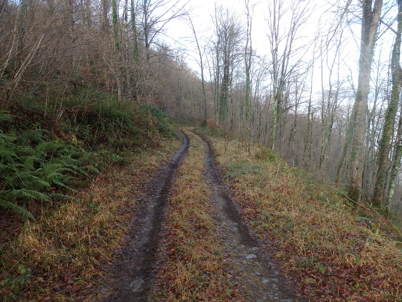 Track near the confluence