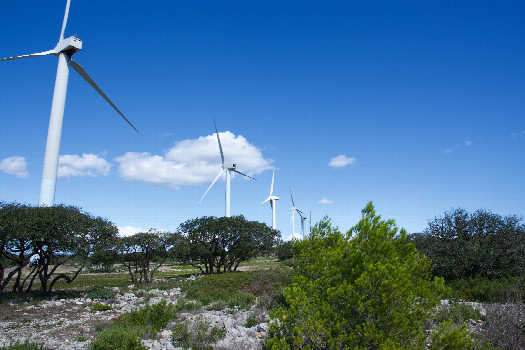 #1: The confluence point lies just 50m from a line of wind turbines  (This is also a view to the North.)