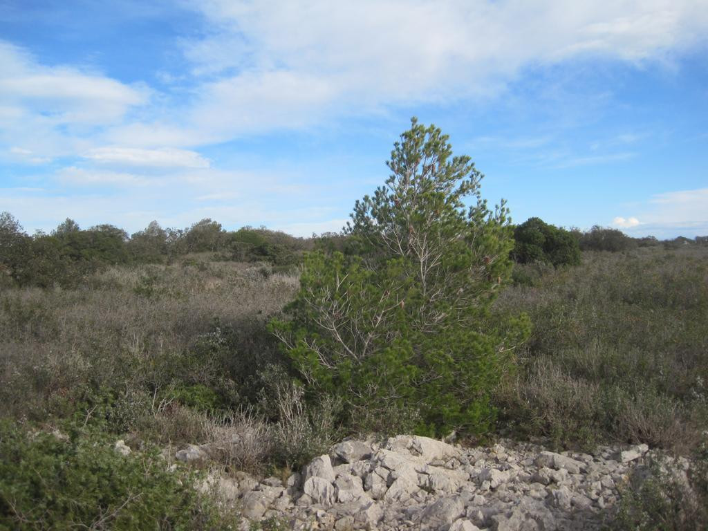 Osten; view east