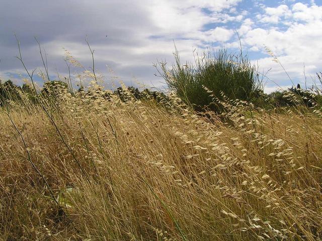 strong wind in the area makes confluencing unpleasant