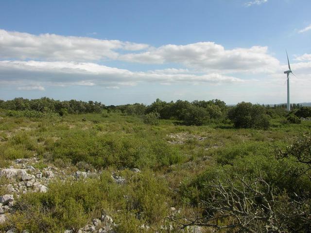 View in southern direction / Blick nach Süden