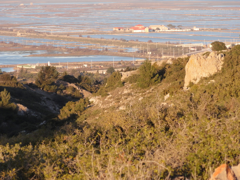 Sainte Lucie saltmarsh