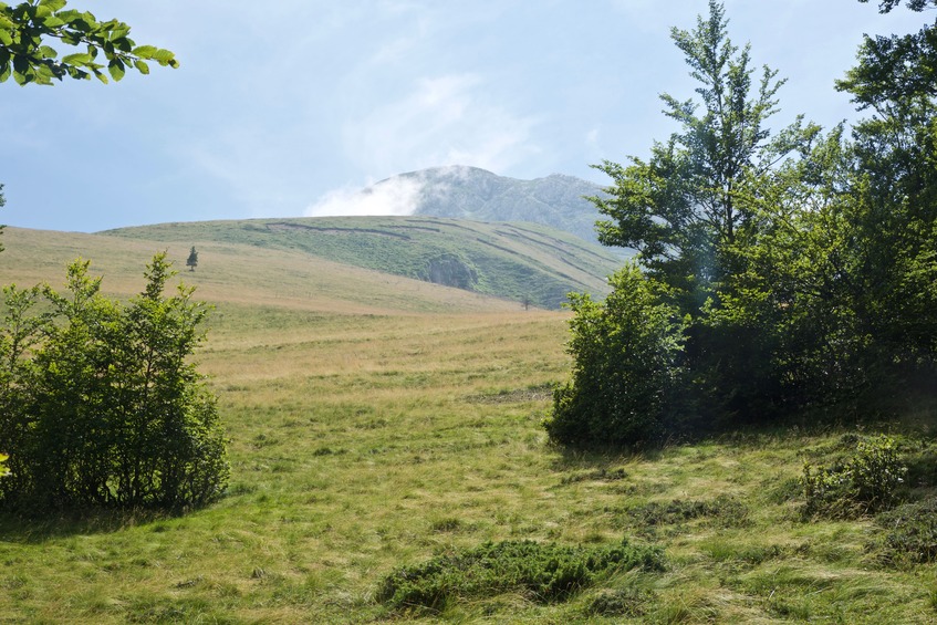 View South towards Pic d’Orhy (and the border with Spain), from near the point