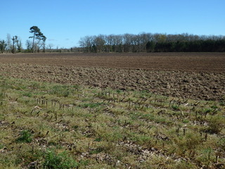 #1: The Confluence from 15 m distance