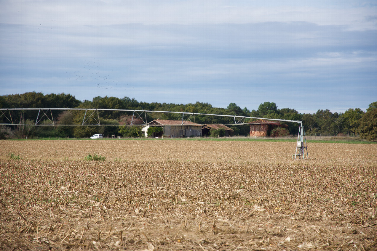 A closeup view of the farm buildings to the West of the point