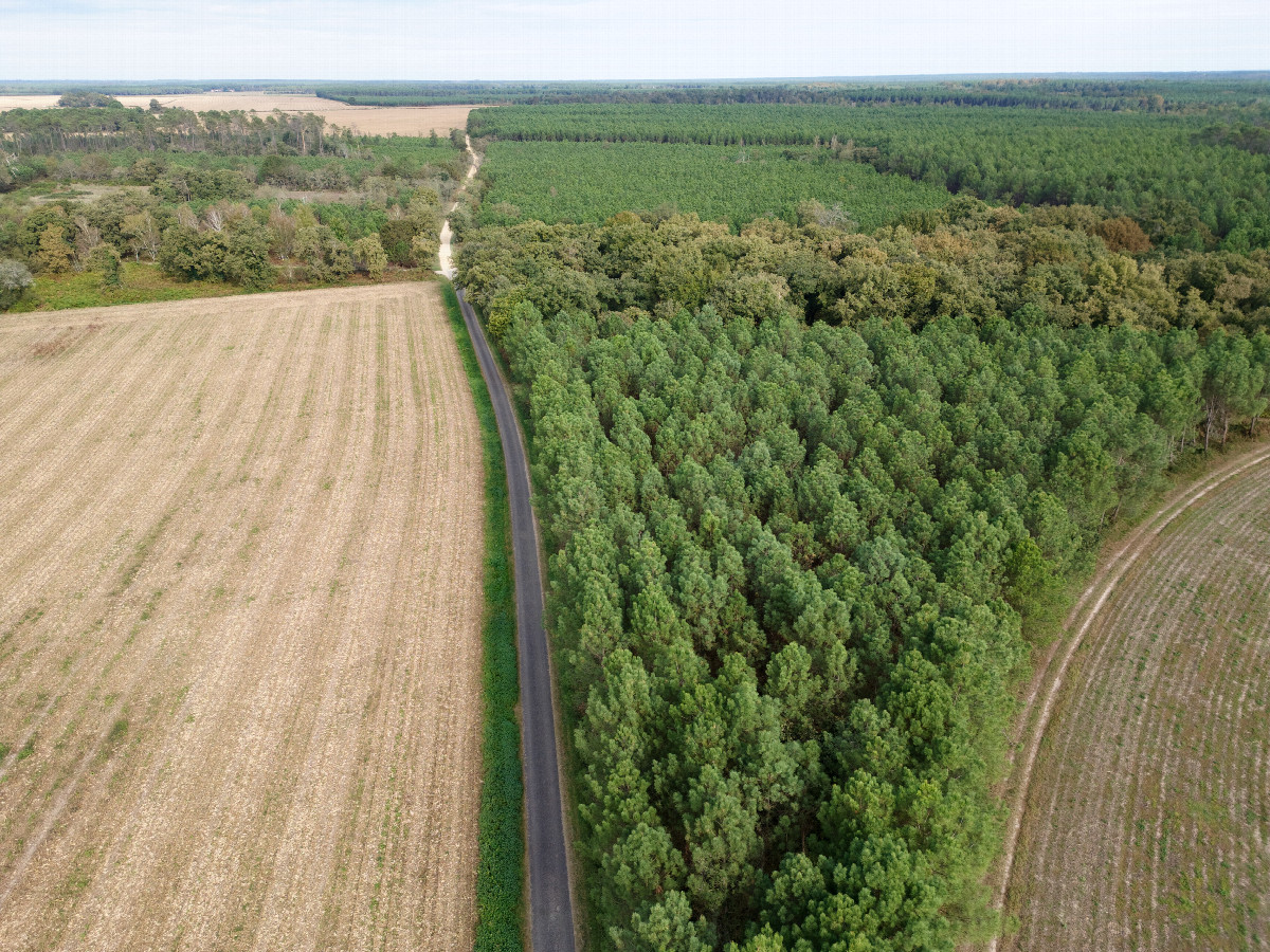 View North (from the road, 180m East of the point) from a height of 50m