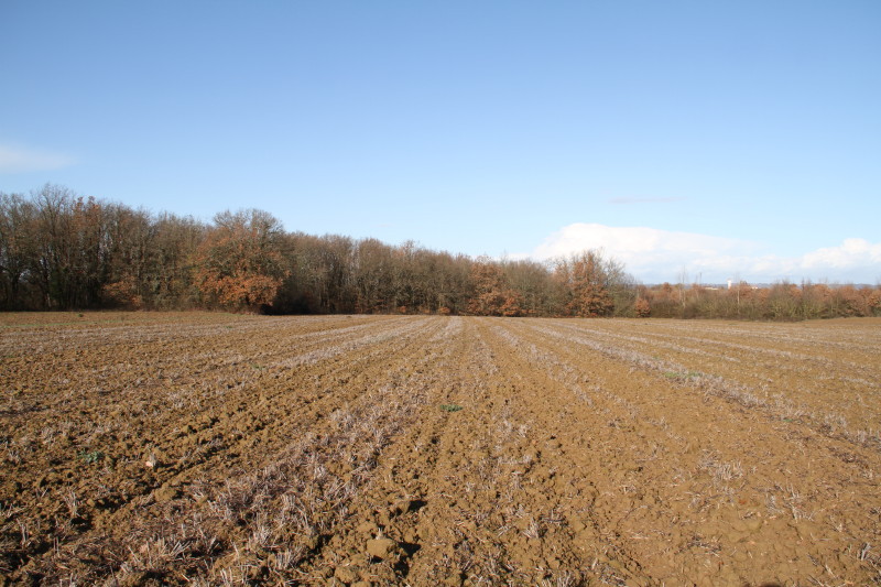 Overview and view to the North