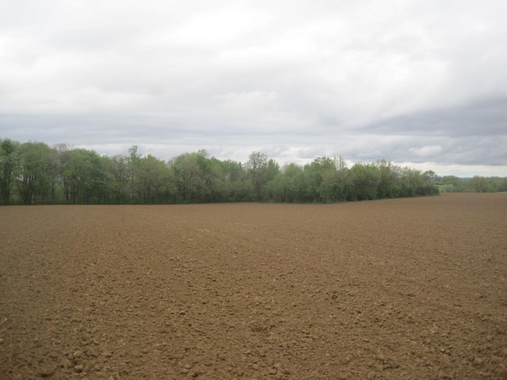 Norden; view north