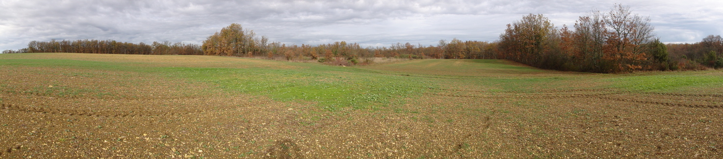 W-N-E panoramic view shot from the confluence point