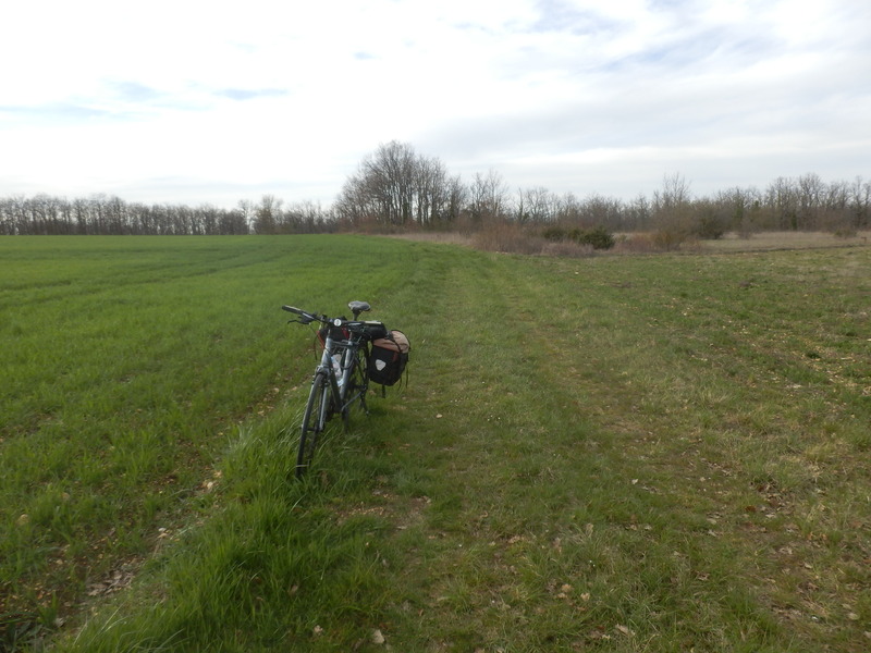 Parked Bicycle 20 m from the Confluence