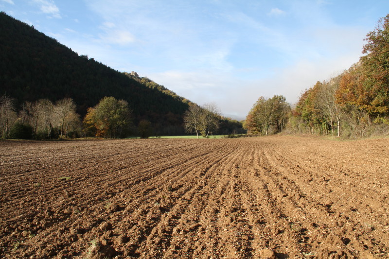 Overview and view to the West