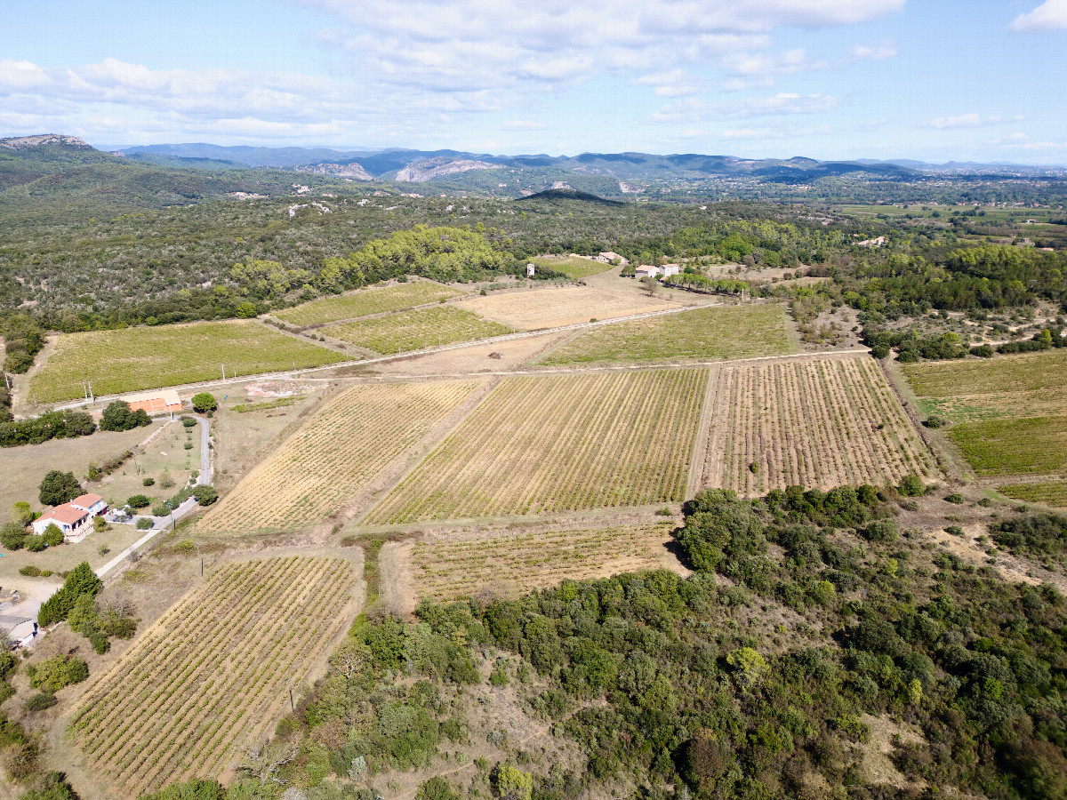 View North, from 100m above the point