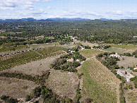 #11: View West, from 100m above the point