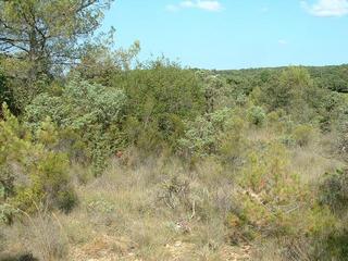 #1: General view of the confluence