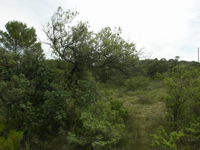 View in southern direction / Blick nach Süden