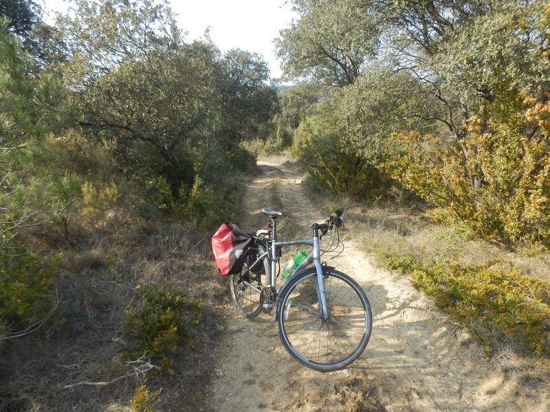 The Track 13 m from the Confluence