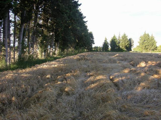 View in eastern direction / Blick nach Osten