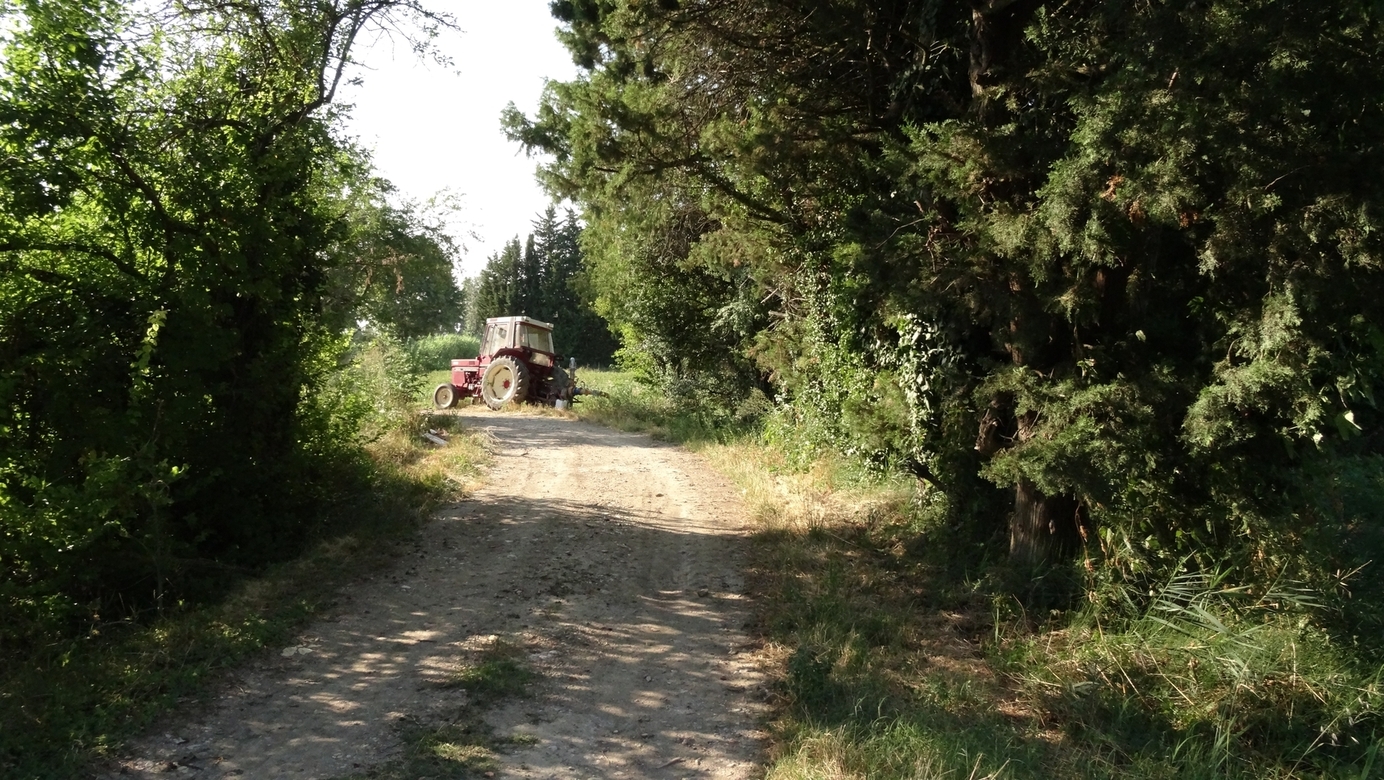 Tractor working as a water pump