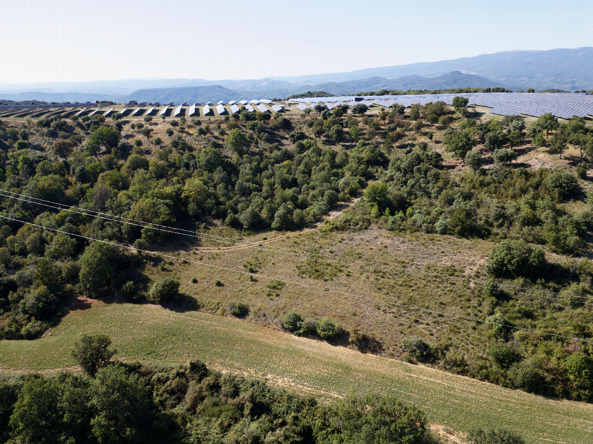 View West, from 50m above the point