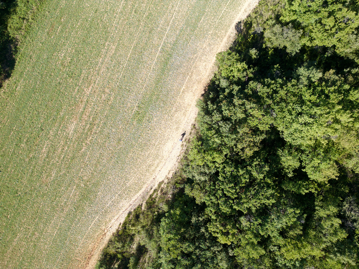 Looking down on the point from a height of 50m