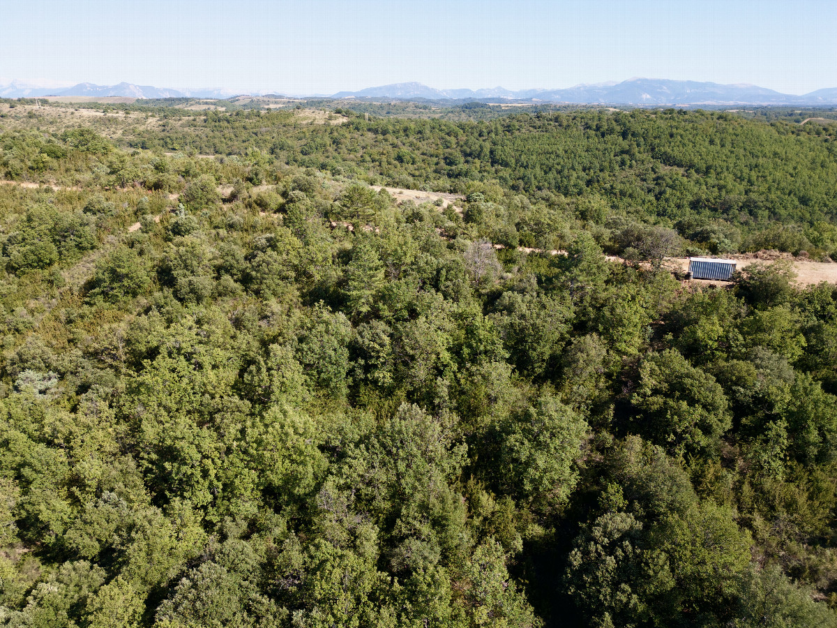 View East, from 50m above the point