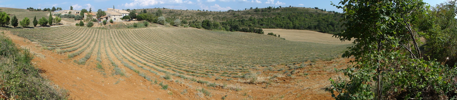 Panoramic view shot at N44°00'07'' E6°00'72'' looking east