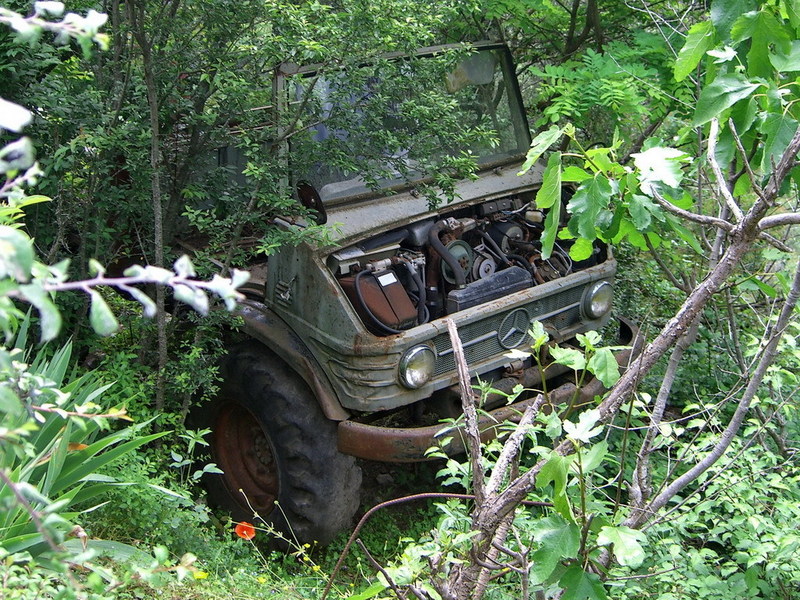 Unimog