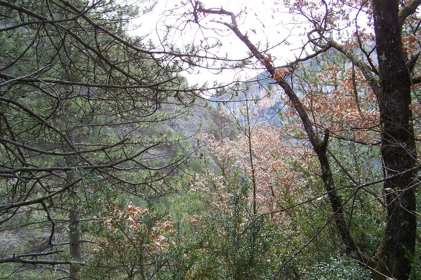 View towards S from the confluence