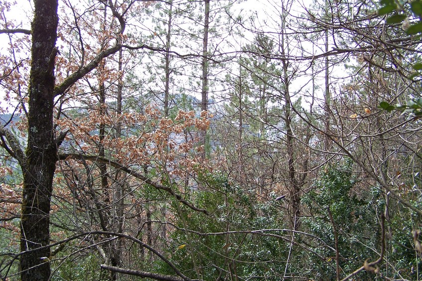 View towards W from the confluence