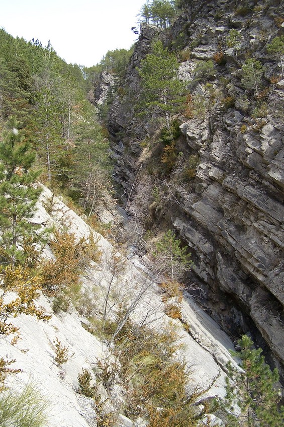 The gorge (view towards E)