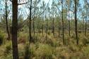 #5: Looking west from the confluence