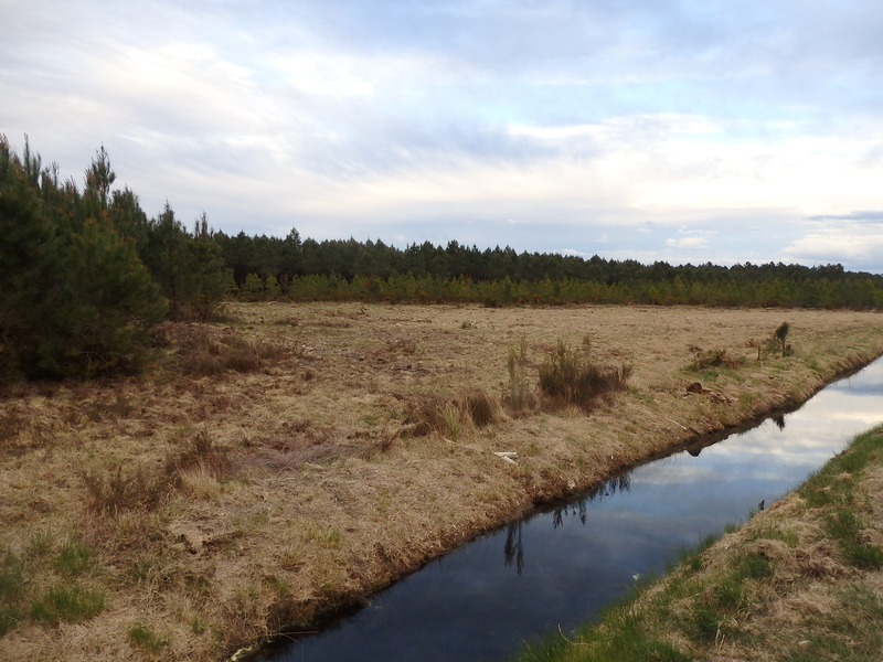 The Confluence from 100 m distance