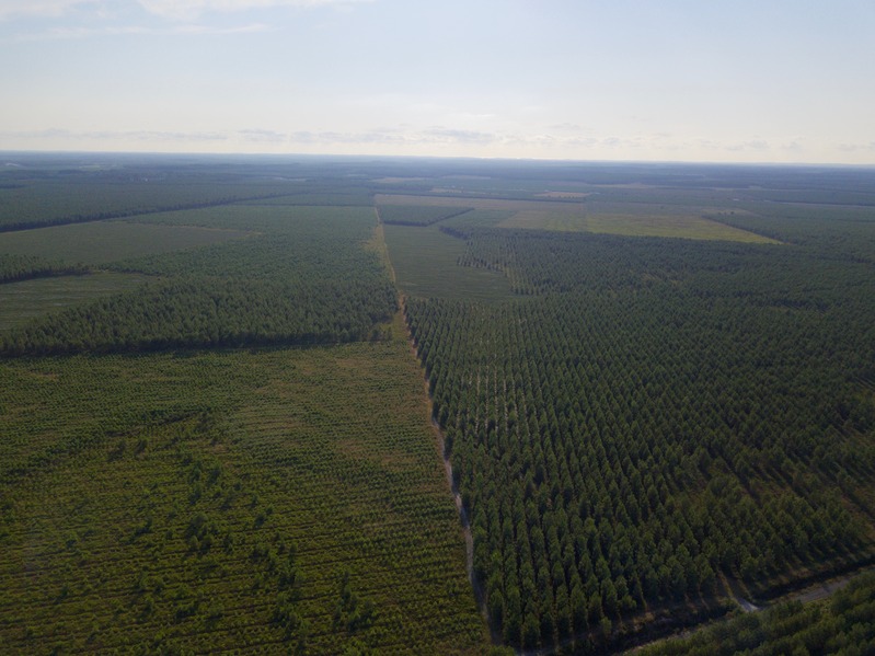 View West, from 100 m above the point