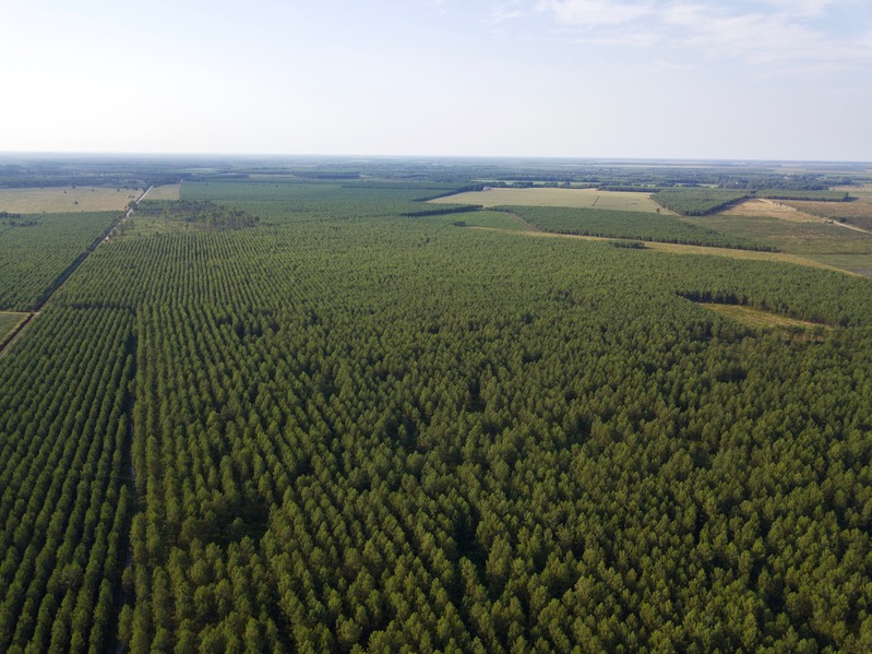 View North from 100 m above the point