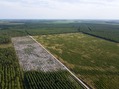 #10: View South, from 100 m above the point