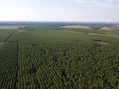 #8: View North from 100 m above the point