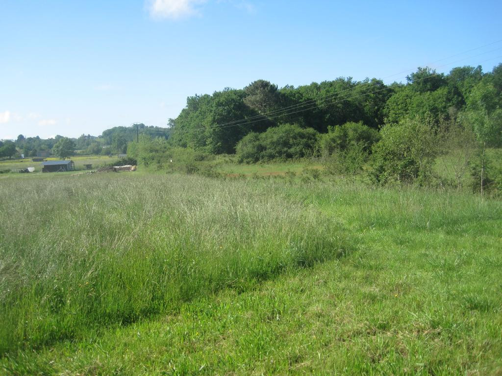 Süden; view south