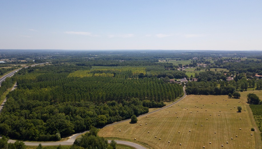 View East, from 100 m above the point