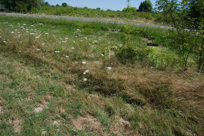 The confluence point lies on the edge of a farm field, next to a narrow paved road