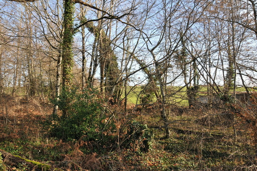 View north / Blick nach Norden