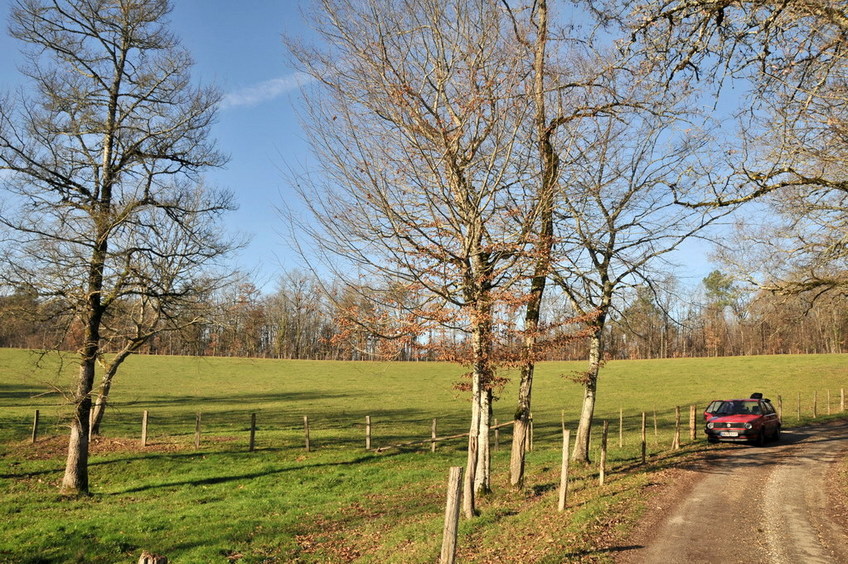 View west / Blick nach Westen