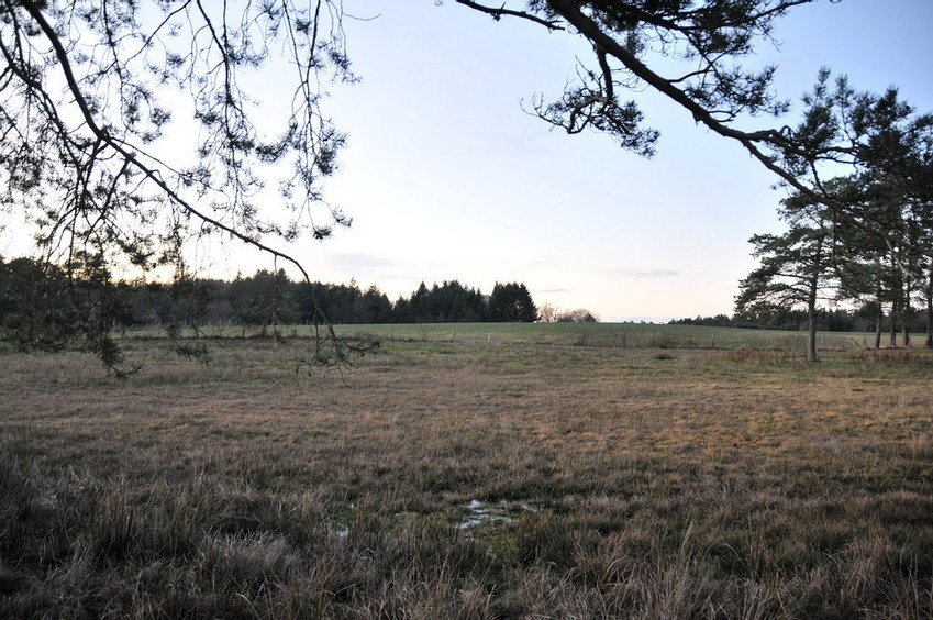 View north / Blick nach Norden