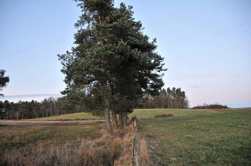 View east / Blick nach Osten