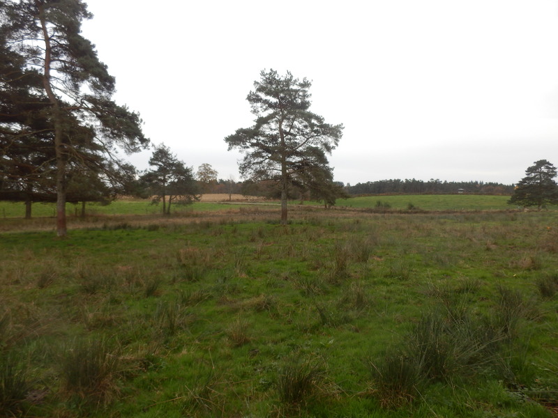 The Confluence from 20 m distance